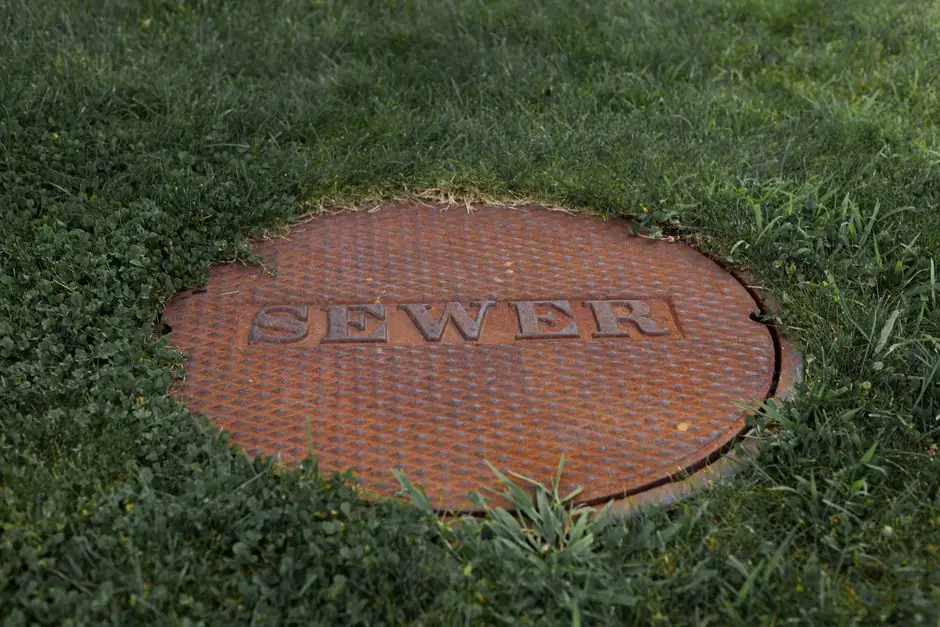 Benefits of Professional Leak Detection